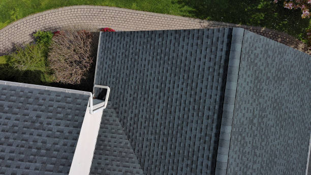 Best Sheet Metal Roofing  in Renovo, PA